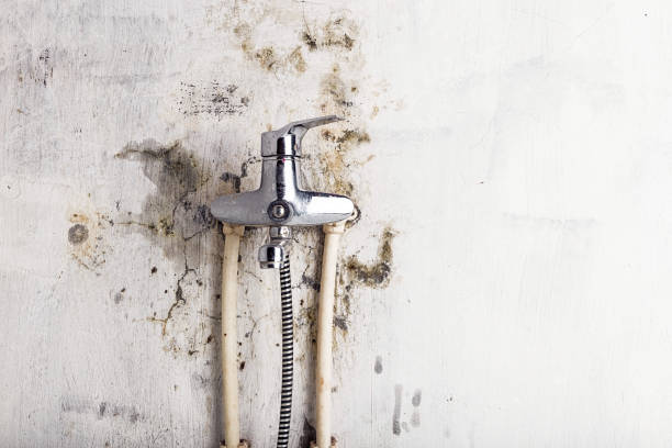 Best Commercial Mold Removal  in Moore, OK