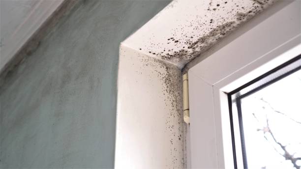 Water Damage Restoration in Moore, OK