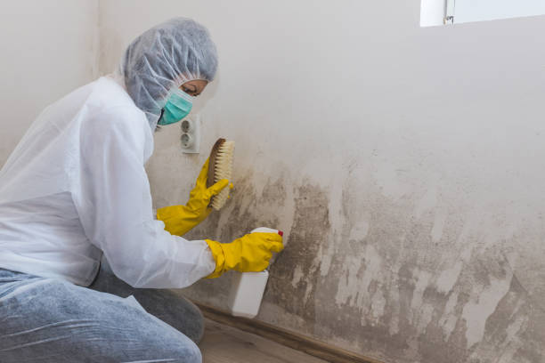 Moore, OK Mold Removal Company