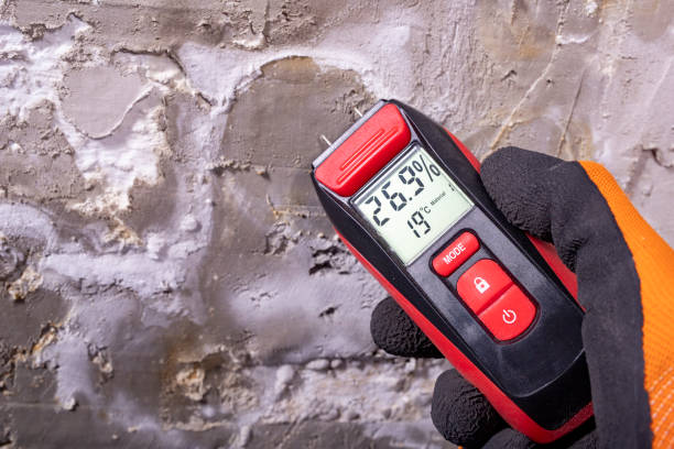 Best Mold Damage Repair  in Moore, OK