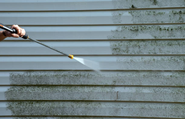 Best Same-Day Mold Removal  in Moore, OK