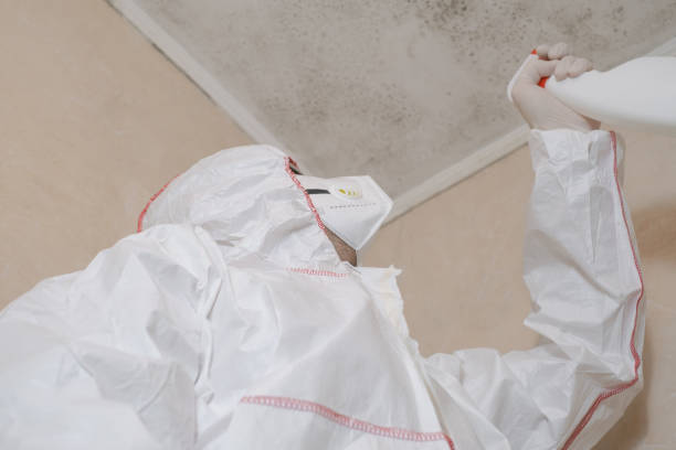 Best Emergency Mold Removal  in Moore, OK